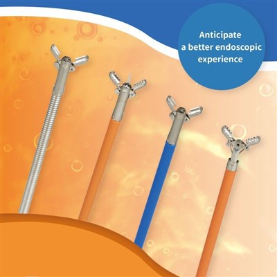 Tang-endoscopie