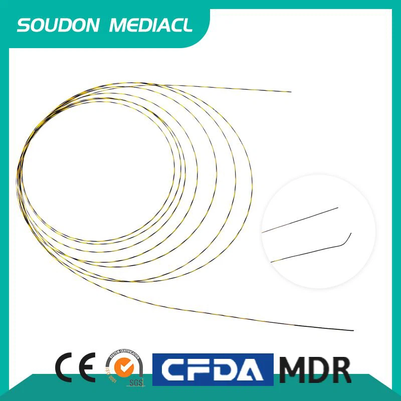 Zebra Guide Wire 450cm